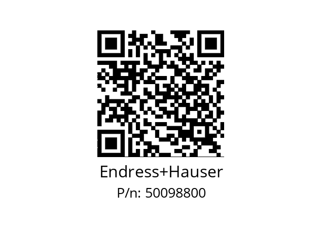   Endress+Hauser 50098800