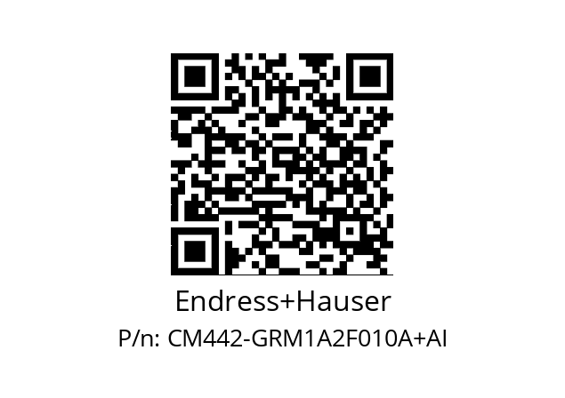   Endress+Hauser CM442-GRM1A2F010A+AI