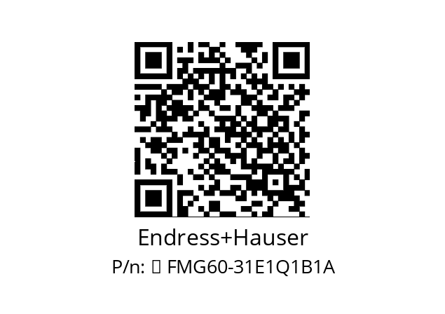   Endress+Hauser 	 FMG60-31E1Q1B1A