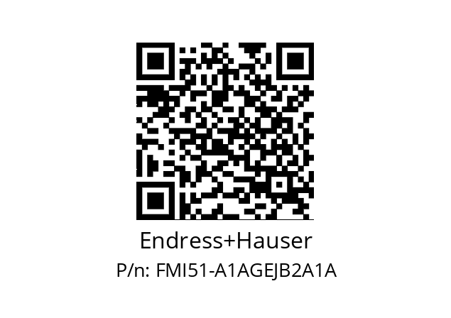   Endress+Hauser FMI51-A1AGEJB2A1A