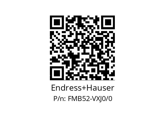   Endress+Hauser FMB52-VXJ0/0