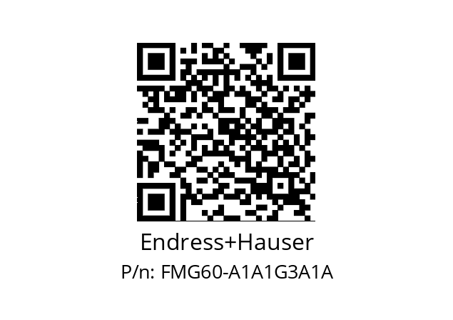   Endress+Hauser FMG60-A1A1G3A1A