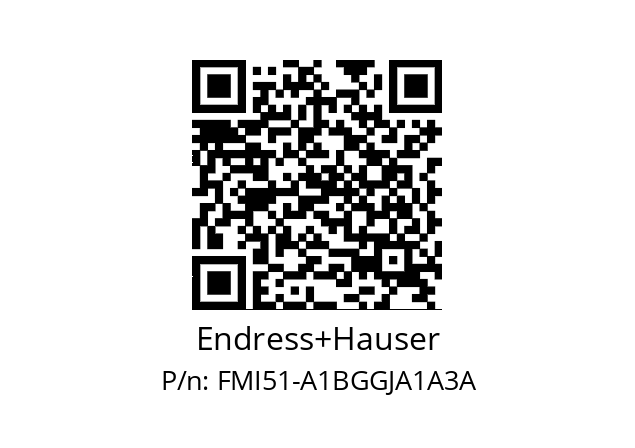   Endress+Hauser FMI51-A1BGGJA1A3A