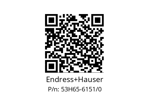   Endress+Hauser 53H65-6151/0