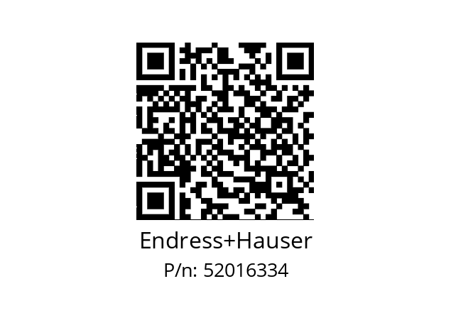   Endress+Hauser 52016334