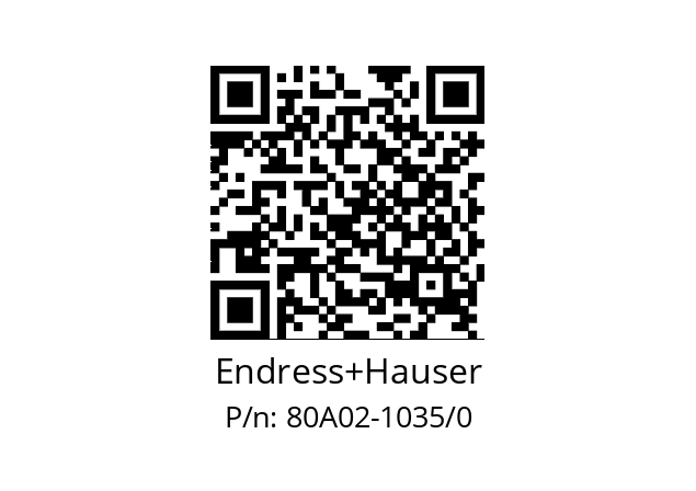   Endress+Hauser 80A02-1035/0