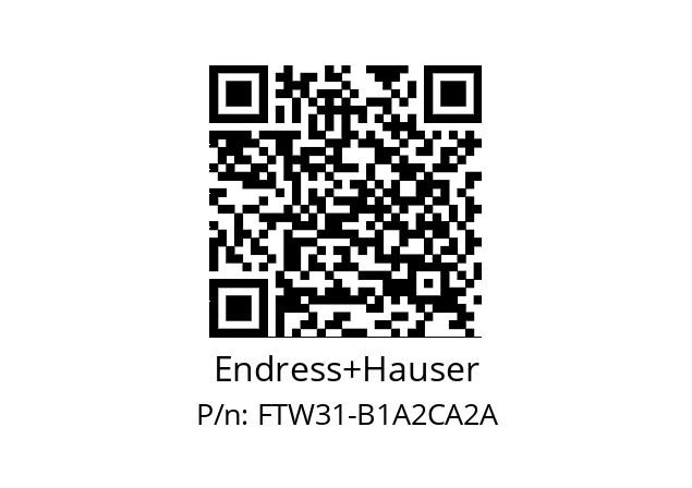   Endress+Hauser FTW31-B1A2CA2A