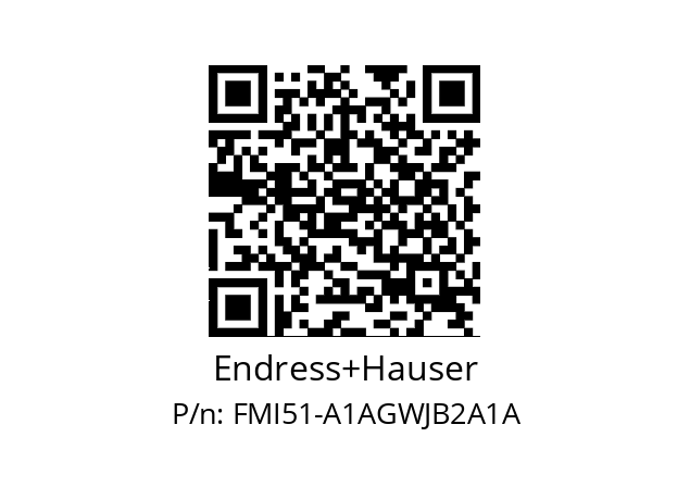   Endress+Hauser FMI51-A1AGWJB2A1A