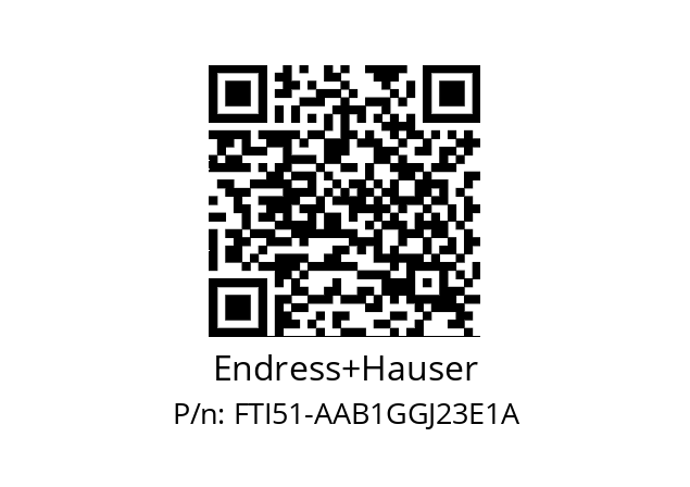   Endress+Hauser FTI51-AAB1GGJ23E1A