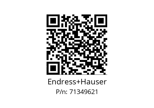   Endress+Hauser 71349621