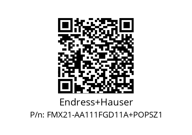   Endress+Hauser FMX21-AA111FGD11A+POPSZ1