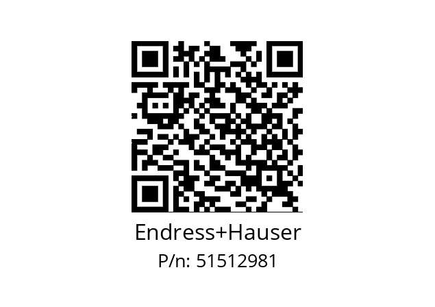   Endress+Hauser 51512981