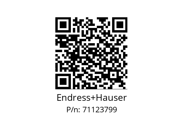   Endress+Hauser 71123799