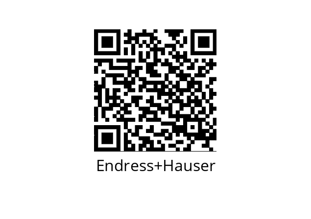  DN15 Endress+Hauser 