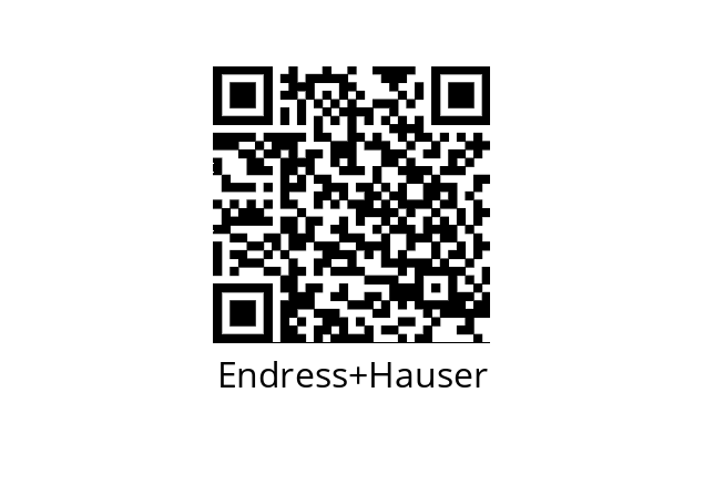  DN25 Endress+Hauser 