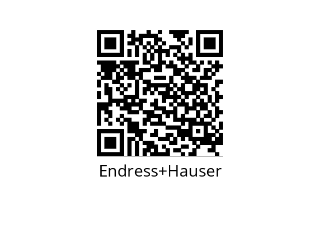  DN32 Endress+Hauser 