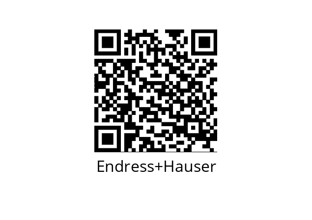  DN40 Endress+Hauser 