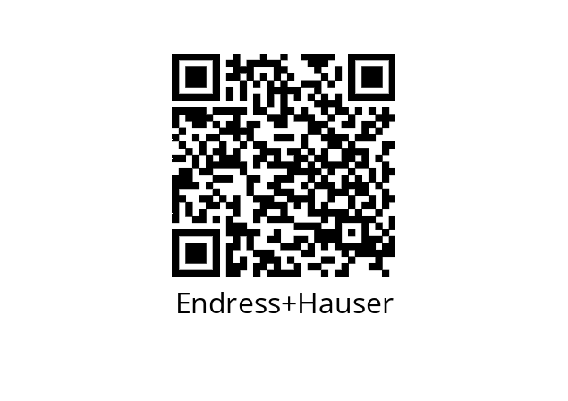  DN50 Endress+Hauser 