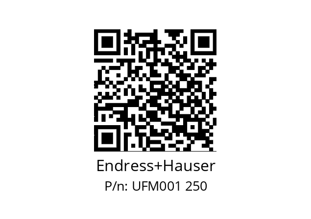   Endress+Hauser UFM001 250