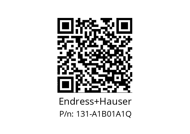   Endress+Hauser 131-A1B01A1Q