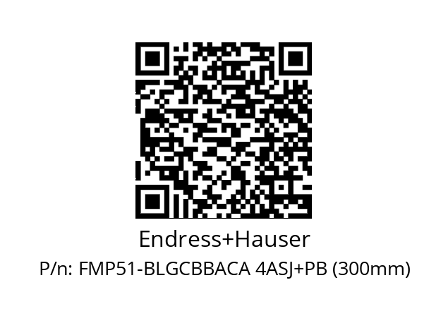   Endress+Hauser FMP51-BLGCBBACA 4ASJ+PB (300mm)