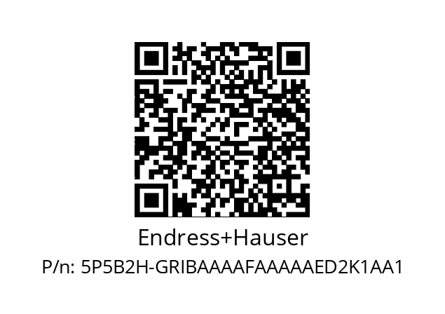   Endress+Hauser 5P5B2H-GRIBAAAAFAAAAAED2K1AA1