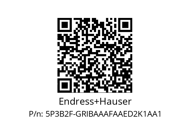   Endress+Hauser 5P3B2F-GRIBAAAFAAED2K1AA1