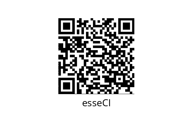  FKS661300000 esseCI 