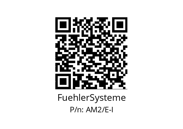   FuehlerSysteme AM2/E-I