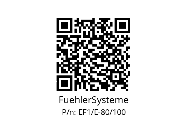   FuehlerSysteme EF1/E-80/100