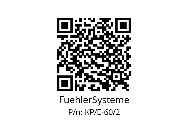   FuehlerSysteme KP/E-60/2