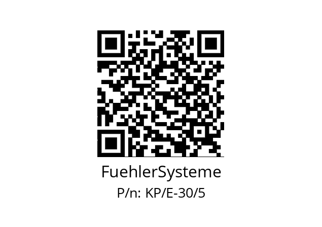   FuehlerSysteme KP/E-30/5