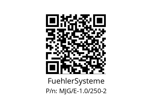   FuehlerSysteme MJG/E-1.0/250-2