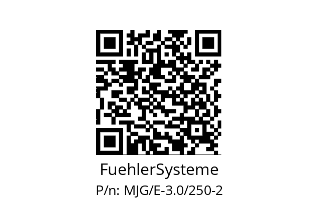   FuehlerSysteme MJG/E-3.0/250-2