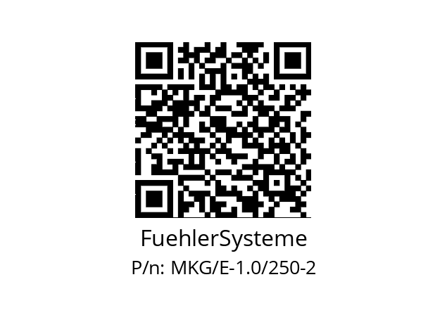   FuehlerSysteme MKG/E-1.0/250-2