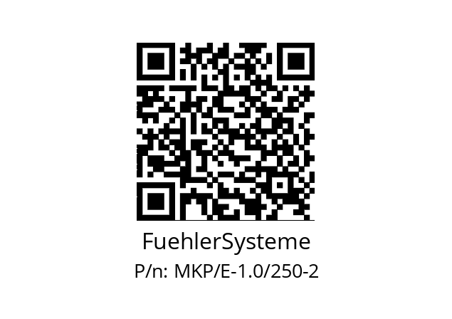   FuehlerSysteme MKP/E-1.0/250-2