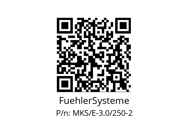   FuehlerSysteme MKS/E-3.0/250-2