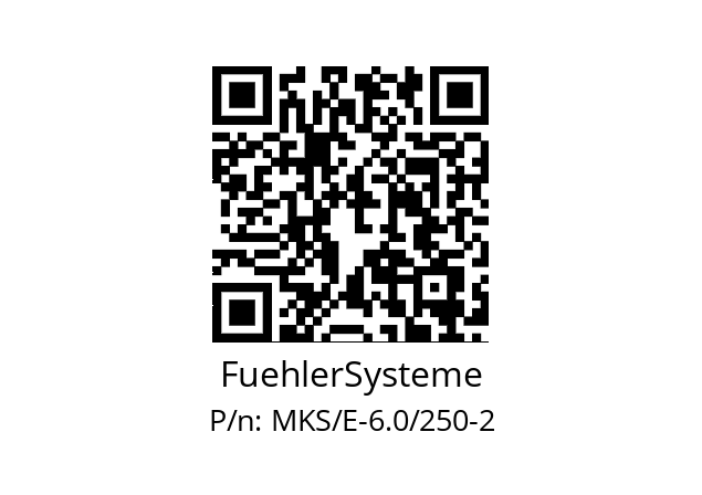   FuehlerSysteme MKS/E-6.0/250-2