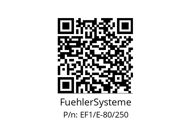   FuehlerSysteme EF1/E-80/250