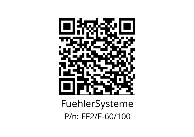   FuehlerSysteme EF2/E-60/100