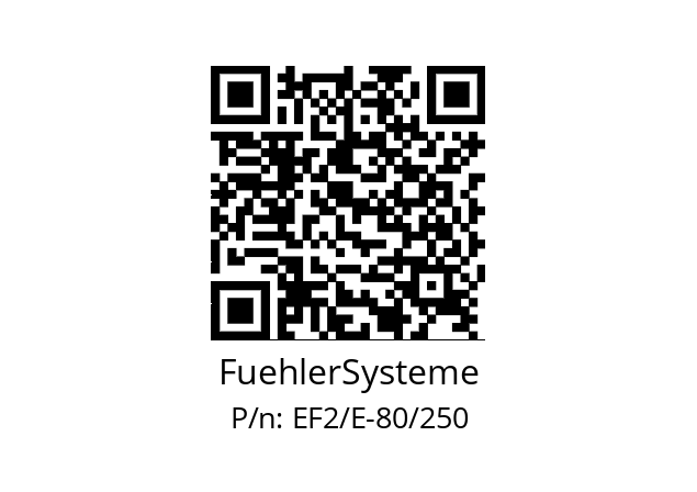   FuehlerSysteme EF2/E-80/250