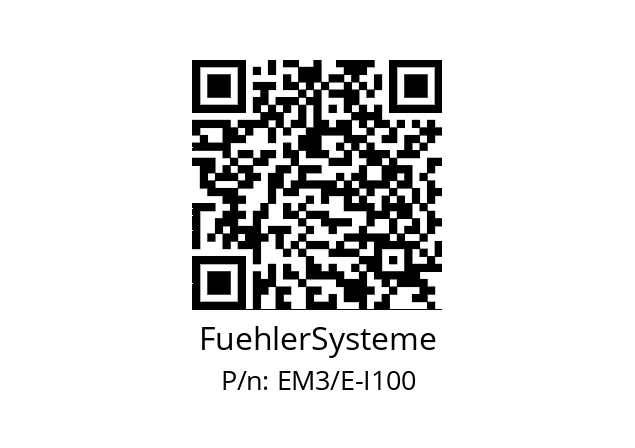   FuehlerSysteme EM3/E-I100