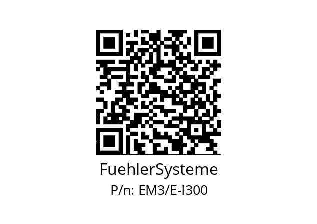   FuehlerSysteme EM3/E-I300