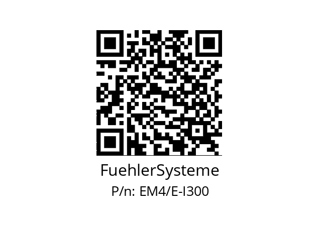   FuehlerSysteme EM4/E-I300