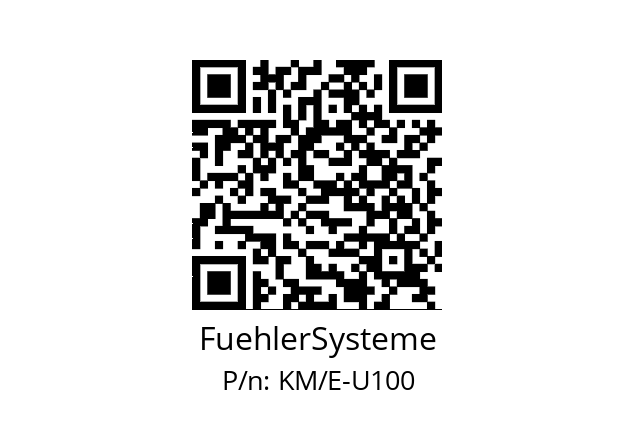   FuehlerSysteme KM/E-U100