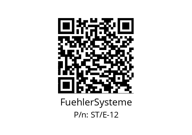   FuehlerSysteme ST/E-12