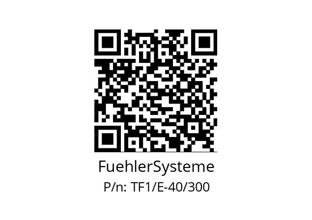   FuehlerSysteme TF1/E-40/300