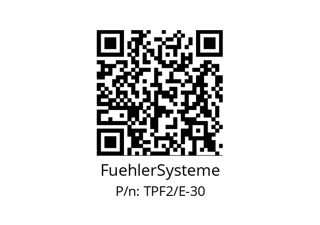   FuehlerSysteme TPF2/E-30