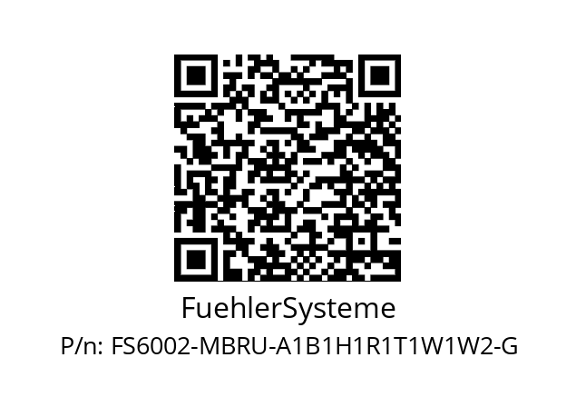   FuehlerSysteme FS6002-MBRU-A1B1H1R1T1W1W2-G