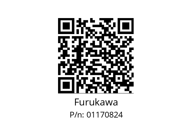   Furukawa 01170824